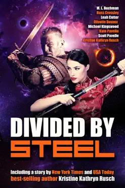 divided by steel imagen de la portada del libro