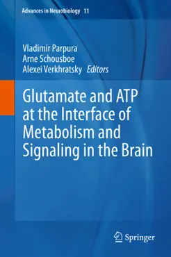 glutamate and atp at the interface of metabolism and signaling in the brain imagen de la portada del libro