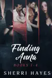 Finding Anna Books 1-4 synopsis, comments