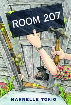 room 207 book cover image