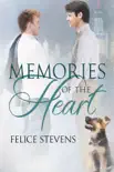 Memories of the Heart synopsis, comments