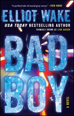 bad boy book cover image