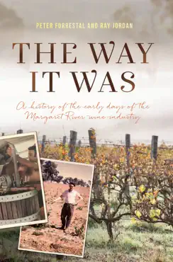 the way it was book cover image