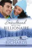 Snowbound with the Billionaire synopsis, comments