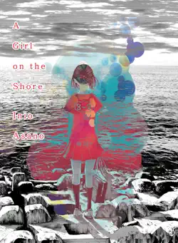 a girl on the shore book cover image
