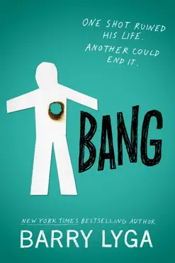 bang book cover image