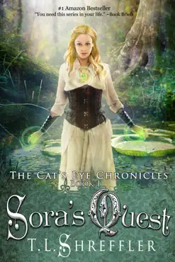 sora's quest book cover image
