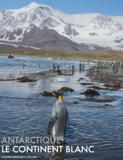 antarctique imagen de la portada del libro