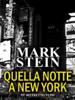 Quella notte a New York synopsis, comments
