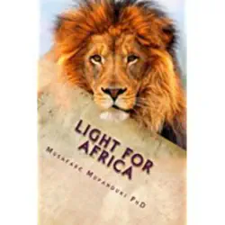 light for africa book cover image