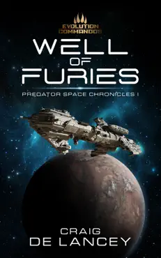 well of furies book cover image