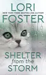 Shelter from the Storm synopsis, comments