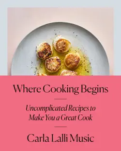 where cooking begins book cover image