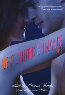 best erotic romance 2013 book cover image