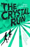 Crystal Run sinopsis y comentarios