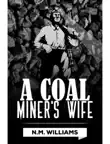 A Coal Miner's Wife sinopsis y comentarios