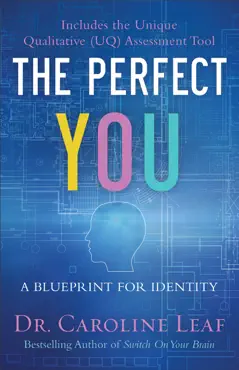 perfect you book cover image