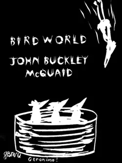 bird world book cover image