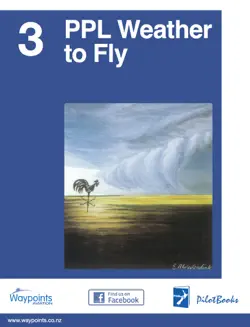 ppl weather to fly book cover image