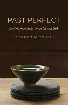 past perfect book cover image