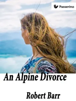 an alpine divorce book cover image