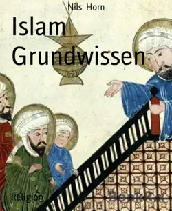islam grundwissen book cover image