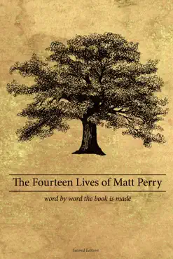 the fourteen lives of matt perry imagen de la portada del libro