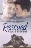 Rescued synopsis, comments