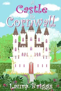 a castle in cornwall book cover image