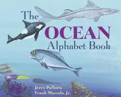 the ocean alphabet book book cover image