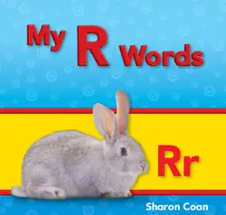 my r words book cover image