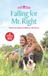 Falling for Mr. Right synopsis, comments