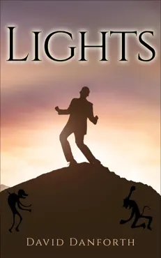 lights book cover image