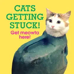 cats getting stuck! book cover image