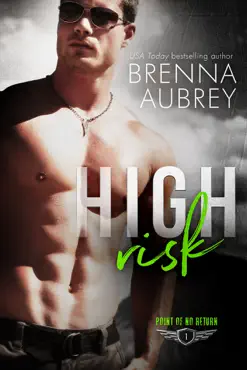 high risk book cover image