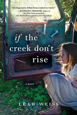 if the creek don't rise book cover image