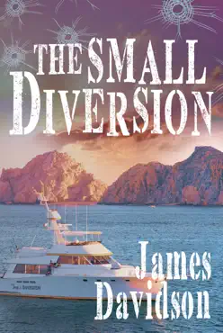 the small diversion book cover image