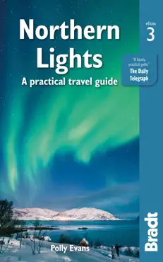 northern lights imagen de la portada del libro