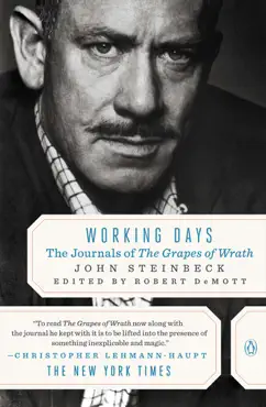 working days book cover image