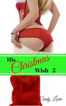 his christmas wish 2 book cover image