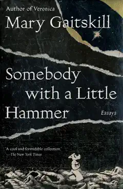 somebody with a little hammer book cover image