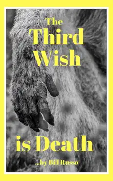 the third wish is death book cover image