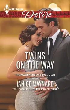 twins on the way book cover image