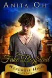 The Fake Boyfriend synopsis, comments