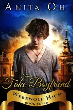 the fake boyfriend book cover image