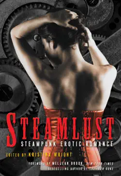 steamlust book cover image