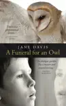 A Funeral for an Owl sinopsis y comentarios