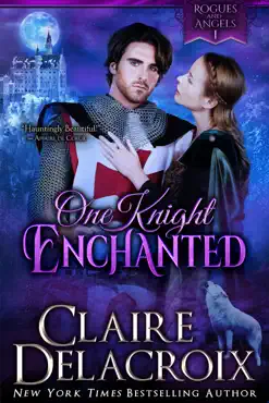 one knight enchanted book cover image