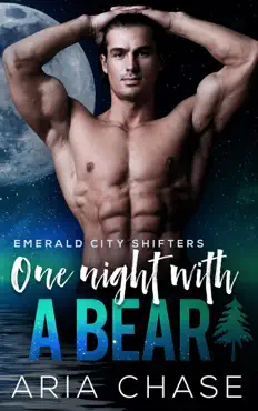 one night with a bear book cover image
