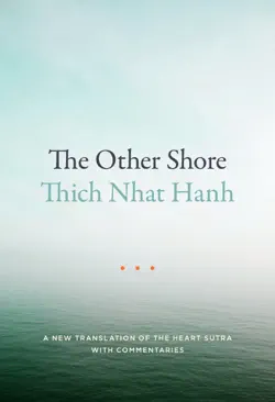 the other shore book cover image